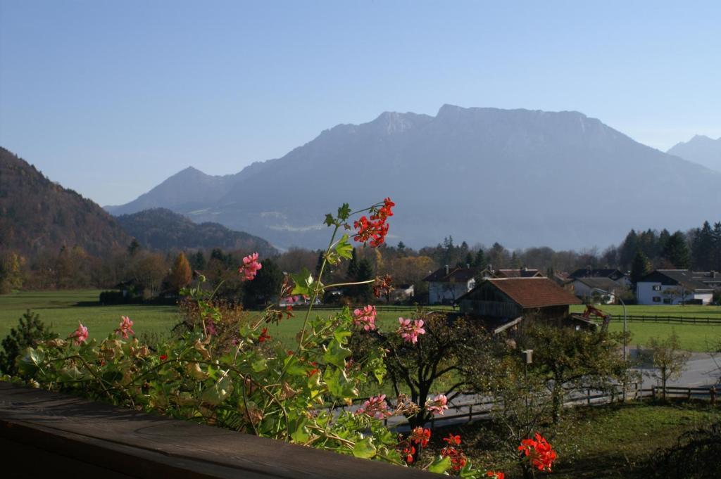 Alpenhof Landhotel Restaurant Oberaudorf Room photo